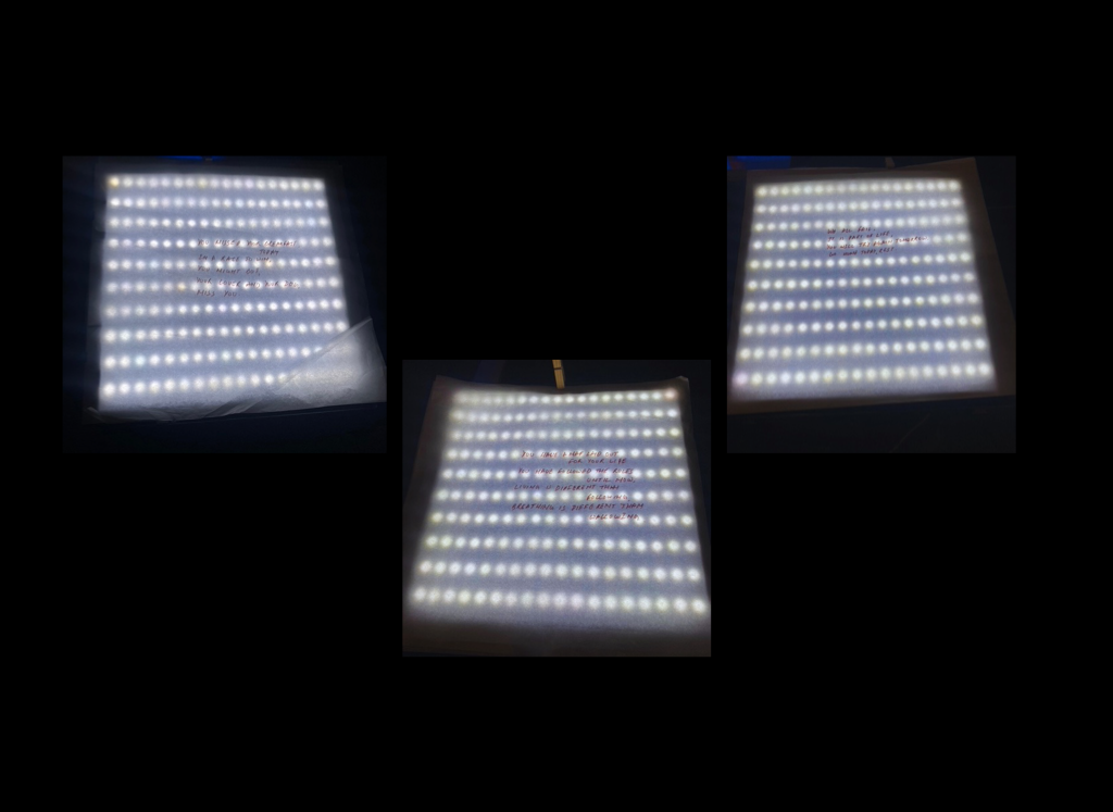 Precipitation of Life 3