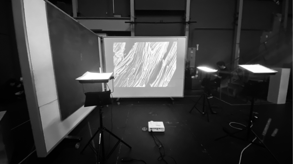 Precipitation of Life 4