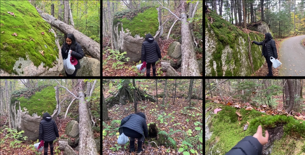 Precipitation of Life 5