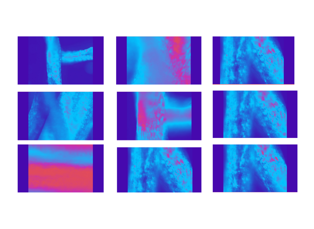 Precipitation of Life 6